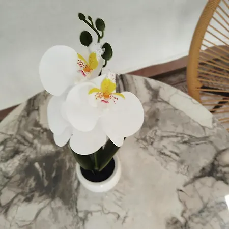 Strahinic Leskovac (Jablanica)